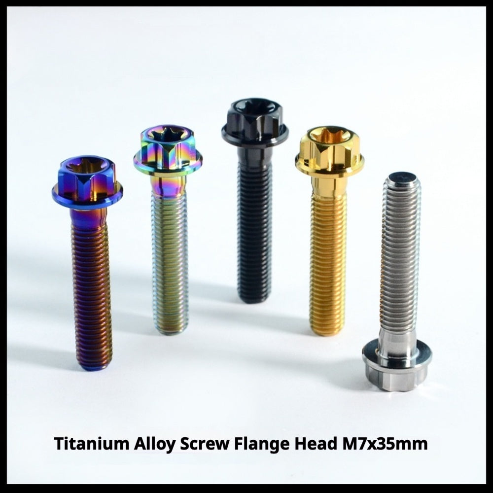 Titanium Seatpost Repair Bolt Kit β Cylindrical, Conical, Flanged & Raised Head | M5 M6 M7 Sizes | Compatible with Specialized Tarmac SL8, Giant TCR, Darimo Seatposts, Pinarello Dogma, and Propel (PP)