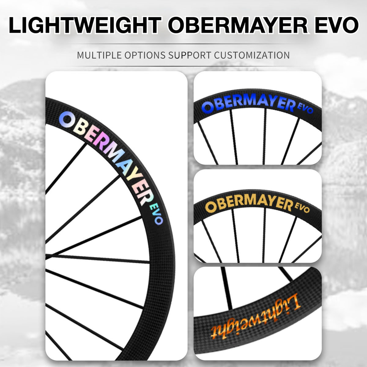 Lightweight Obermayer EVO Wheel Decal Sticker Kit – Logo Cover & Color Change