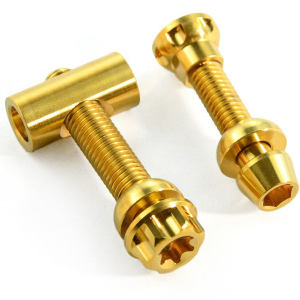Titanium Seatpost Repair Bolt Kit β Cylindrical, Conical, Flanged & Raised Head | M5 M6 M7 Sizes | Compatible with Specialized Tarmac SL8, Giant TCR, Darimo Seatposts, Pinarello Dogma, and Propel (PP)