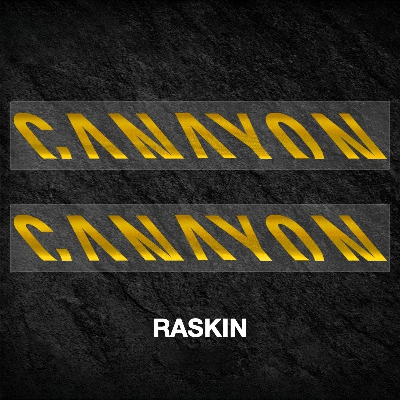 Canyon Speedermax Frame Decal Sticker Kit – Logo Cover & Color Change