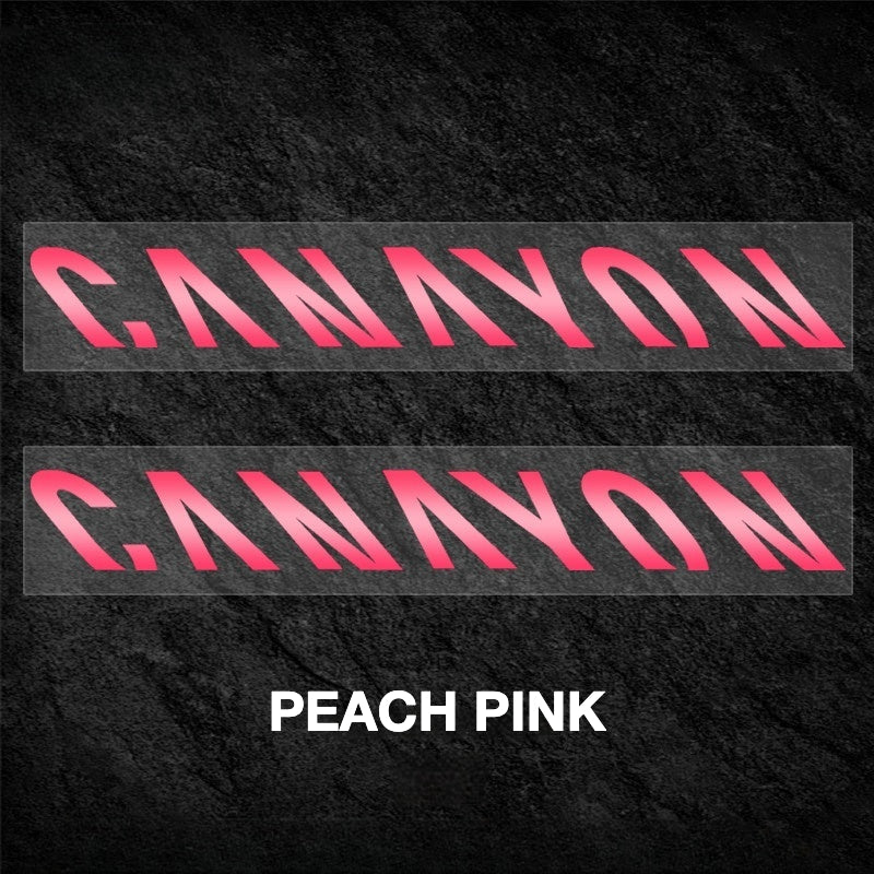 Canyon Speedermax Frame Decal Sticker Kit – Logo Cover & Color Change