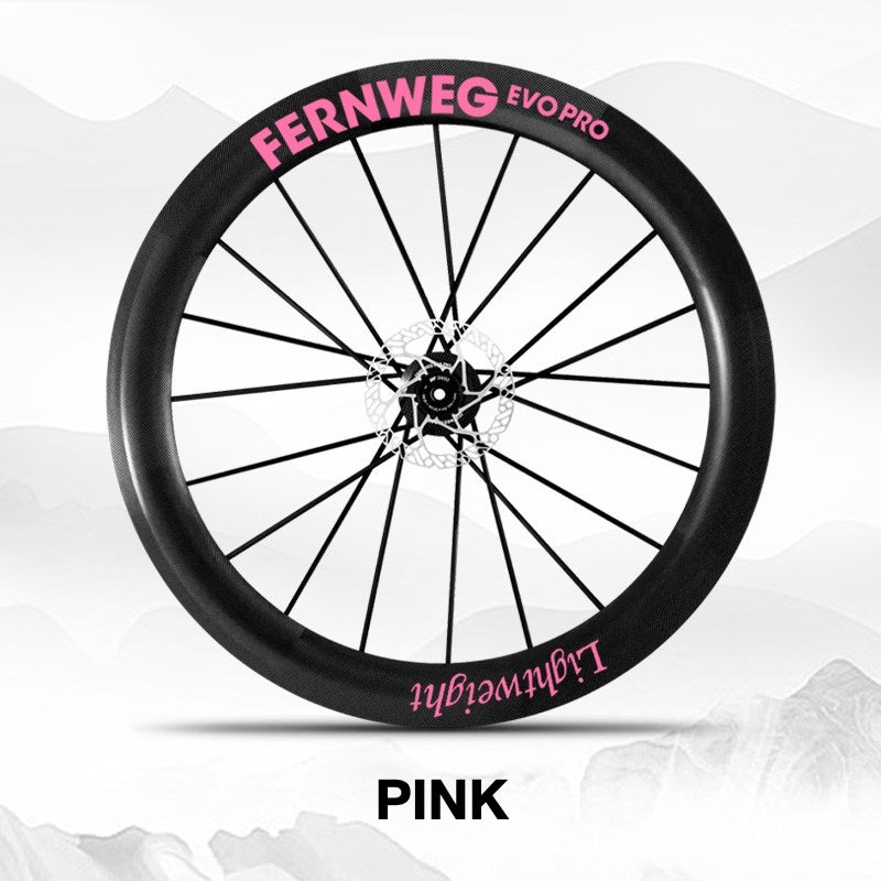 Lightweight Fernweg EVO Pro 63 Wheel Decal Sticker Kit – Logo Cover & Color Change