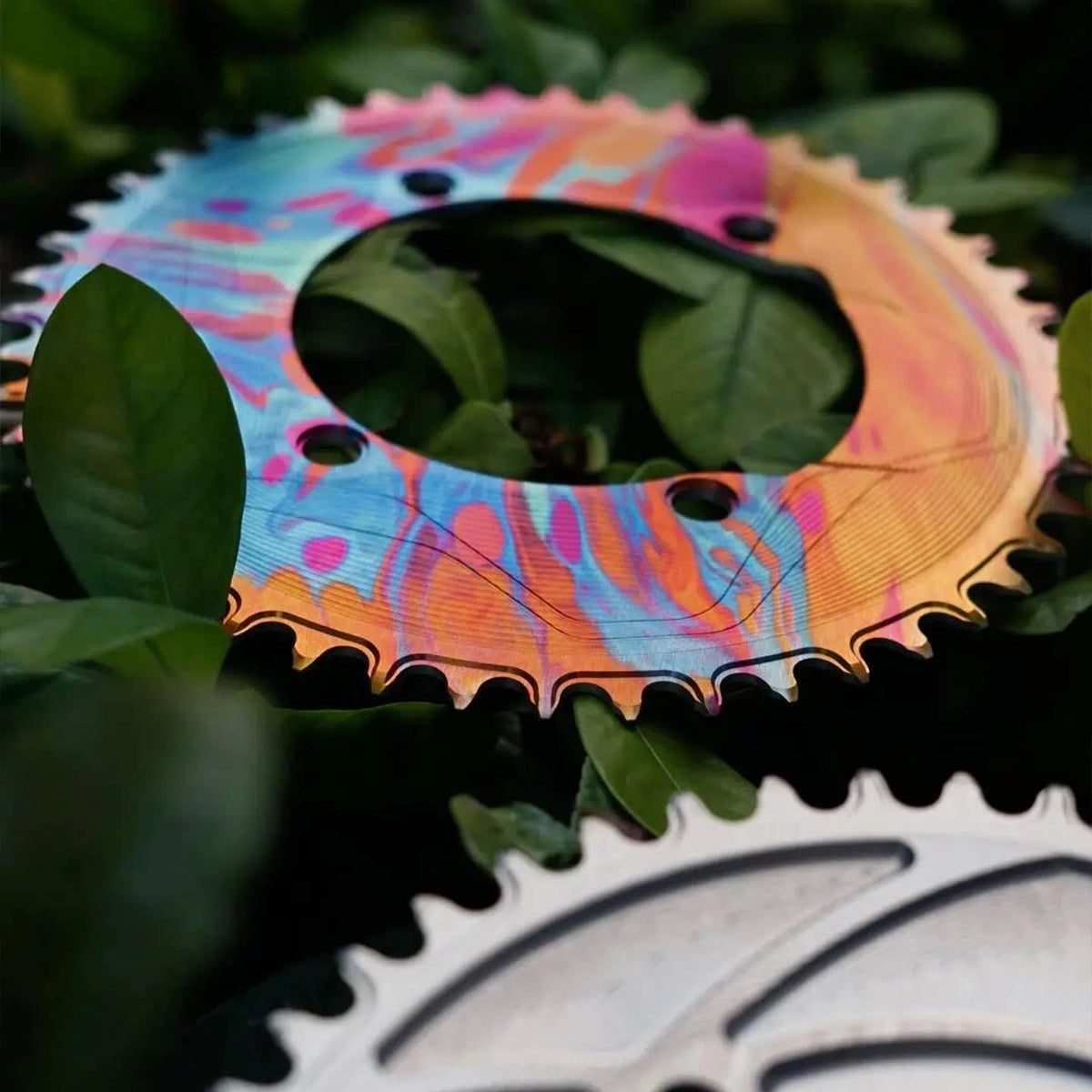 PASS QUEST Autumn/Winter Limited Edition 110BCD Narrow-Wide Chainring | 3mm Offset for Shimano Dura-Ace / Ultegra / 105