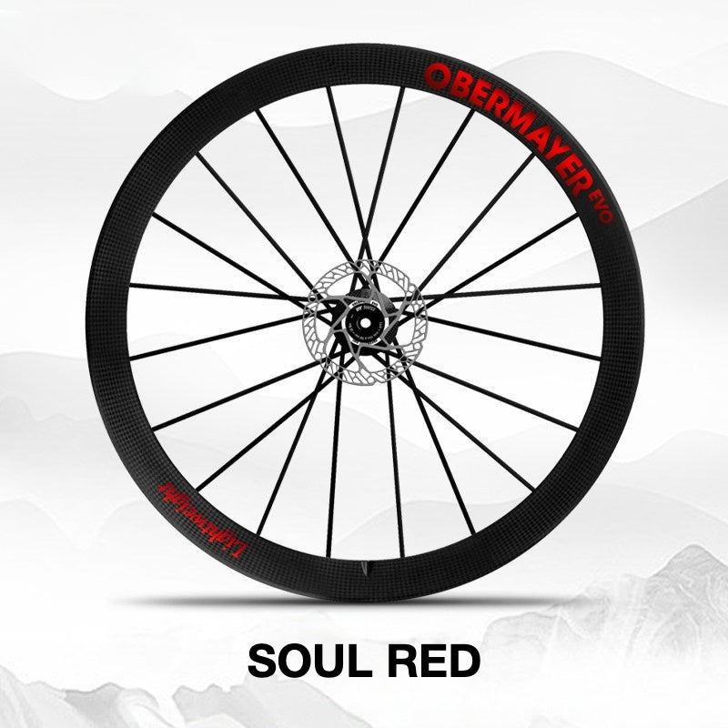 Lightweight Obermayer EVO Wheel Decal Sticker Kit – Logo Cover & Color Change