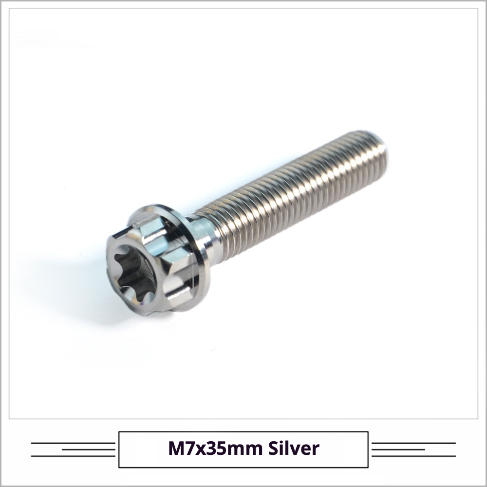 Titanium Seatpost Repair Bolt Kit – Cylindrical, Conical, Flanged & Raised Head | M5 M6 M7 Sizes | Compatible with Specialized Tarmac SL8, Giant TCR, Darimo Seatposts, Pinarello Dogma, and Propel (PP)